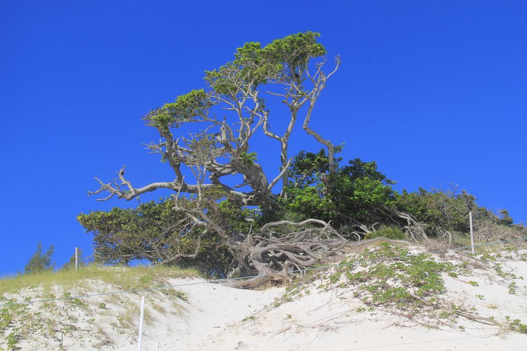 Costa Dourada